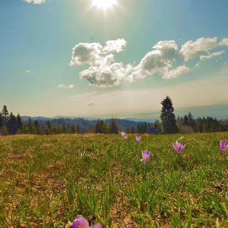 Osada Pod Turbaczem Nowy Targ