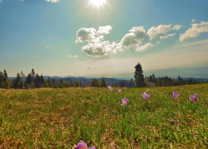 Osada Pod Turbaczem Nowy Targ